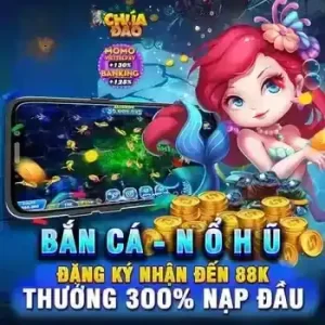 VVVWIN bet
